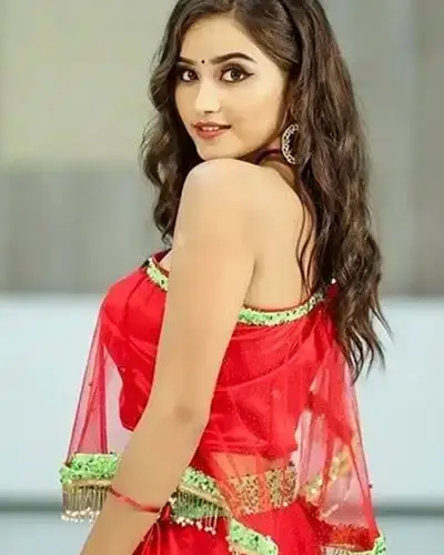 Call Girls Service Kattumannarkoil
